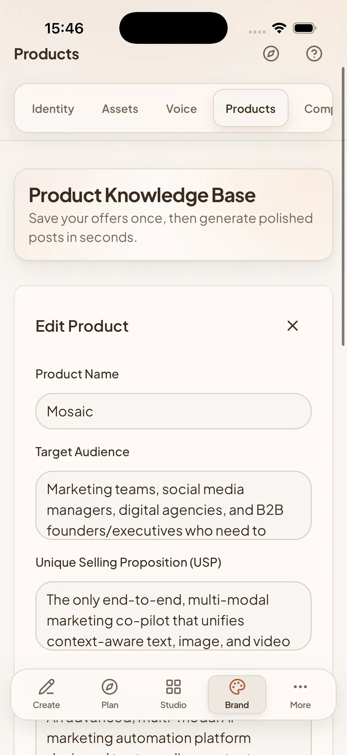 Company Context & Accuracy Safeguards