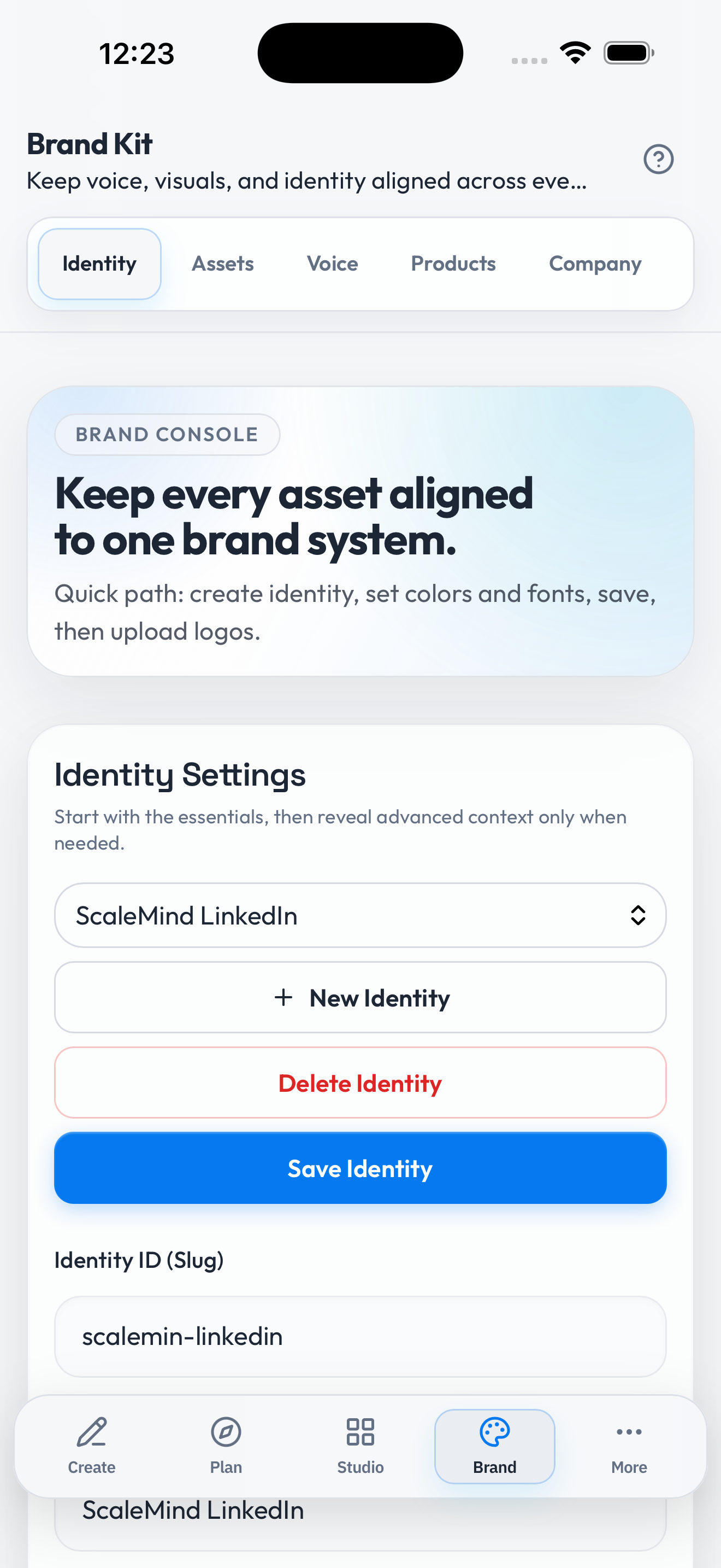 Brand Identity Hub
